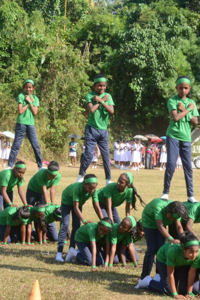 83733698 1047893902212024 4901419989614985216 N