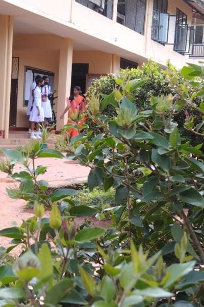 Whatsapp Image 2022 11 09 At 8.29.52 Pm1