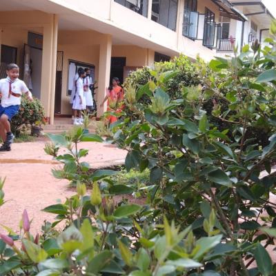 Whatsapp Image 2022 11 09 At 8.29.52 Pm